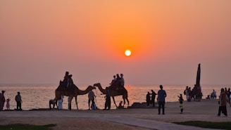 A vibrant sunset over the Red Sea coastline at Sharm El Sheikh, with tourists enjoying the beach.