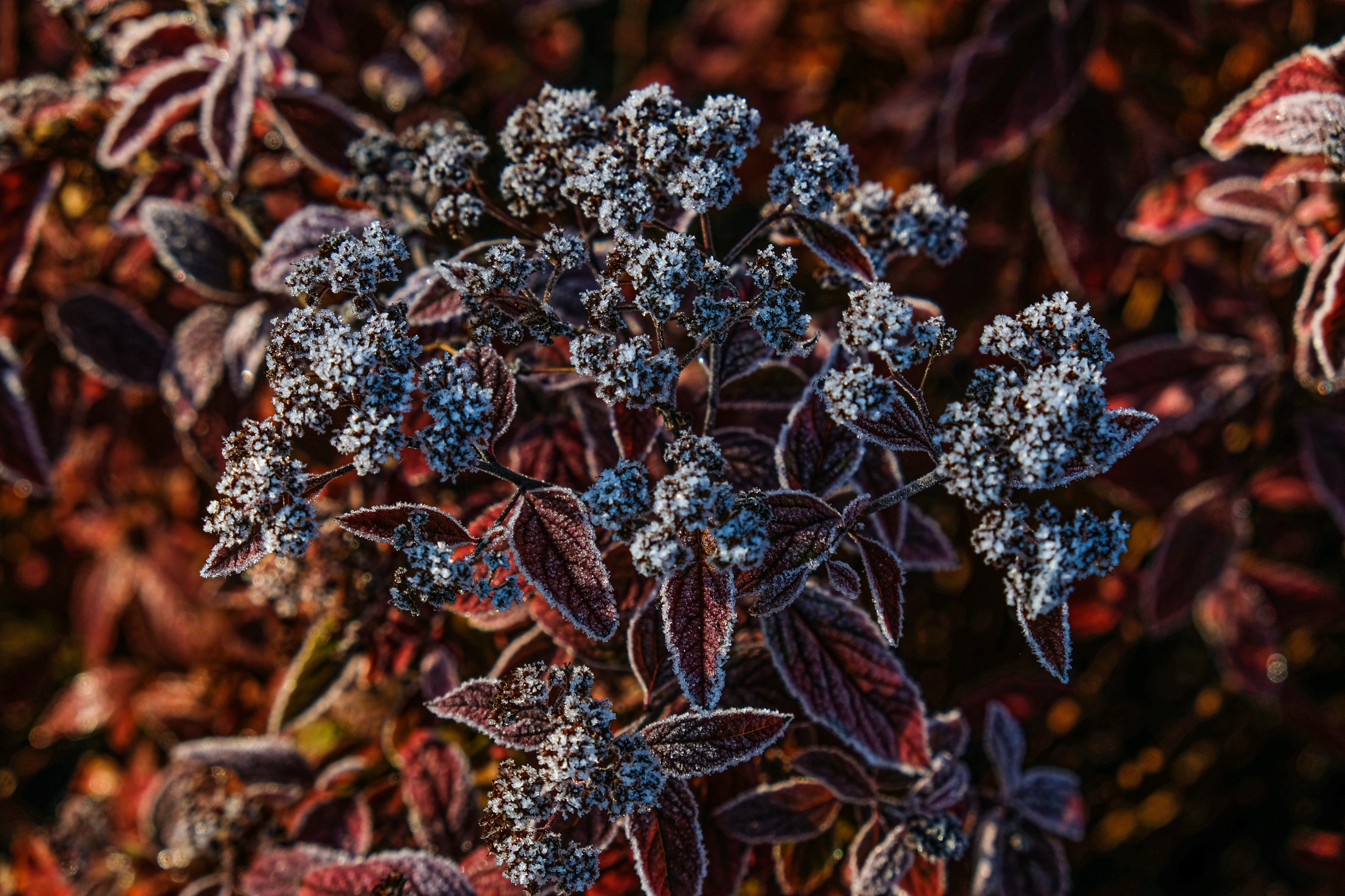 Photo by tanya_kartasheva