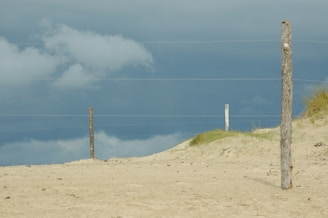 A sandy landscape with scattered wooden fence posts and wire. The sky above is overcast, with dark, brooding clouds. Sparse clumps of grass are visible, adding color to the sand.