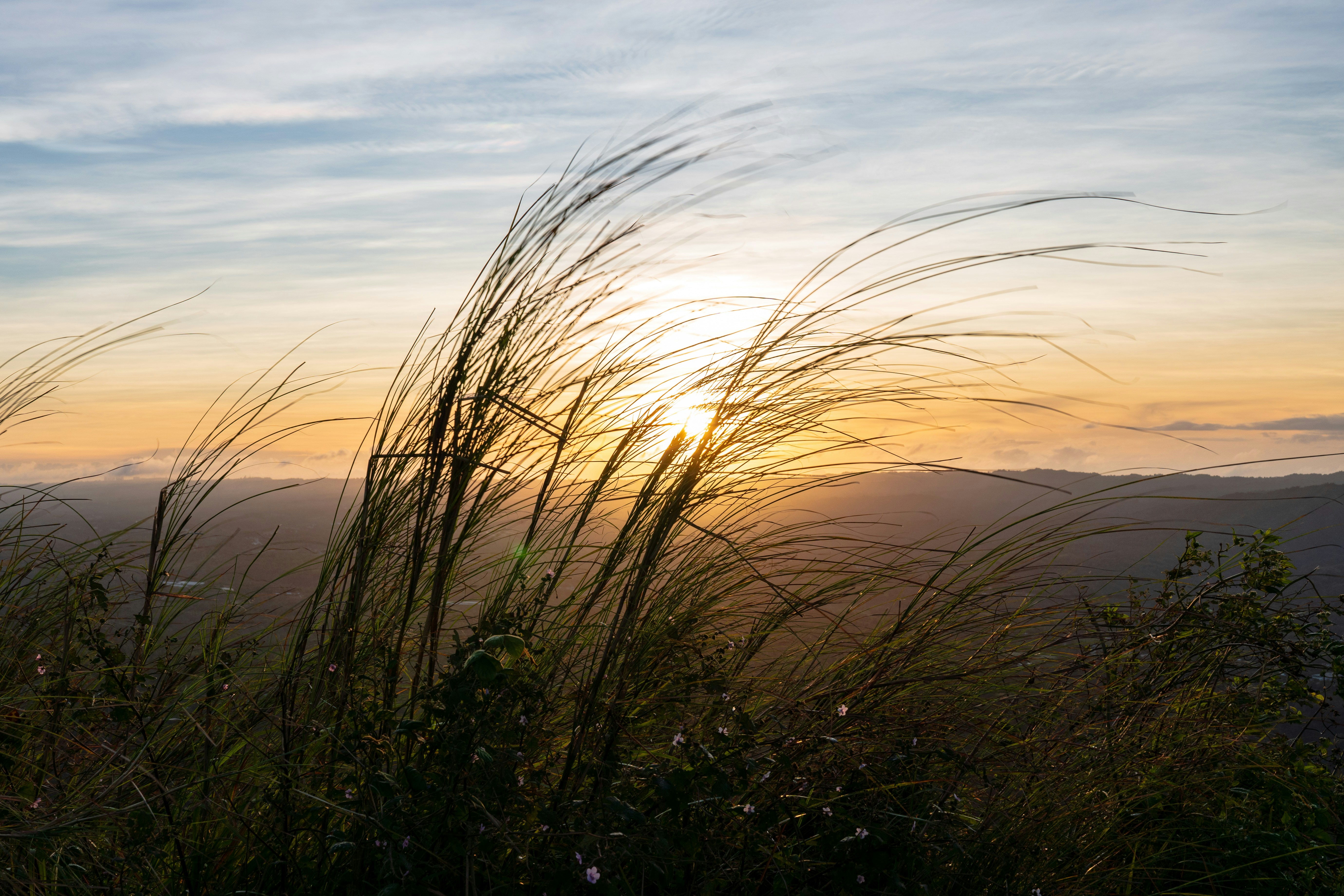 Photo by jehan_reyes