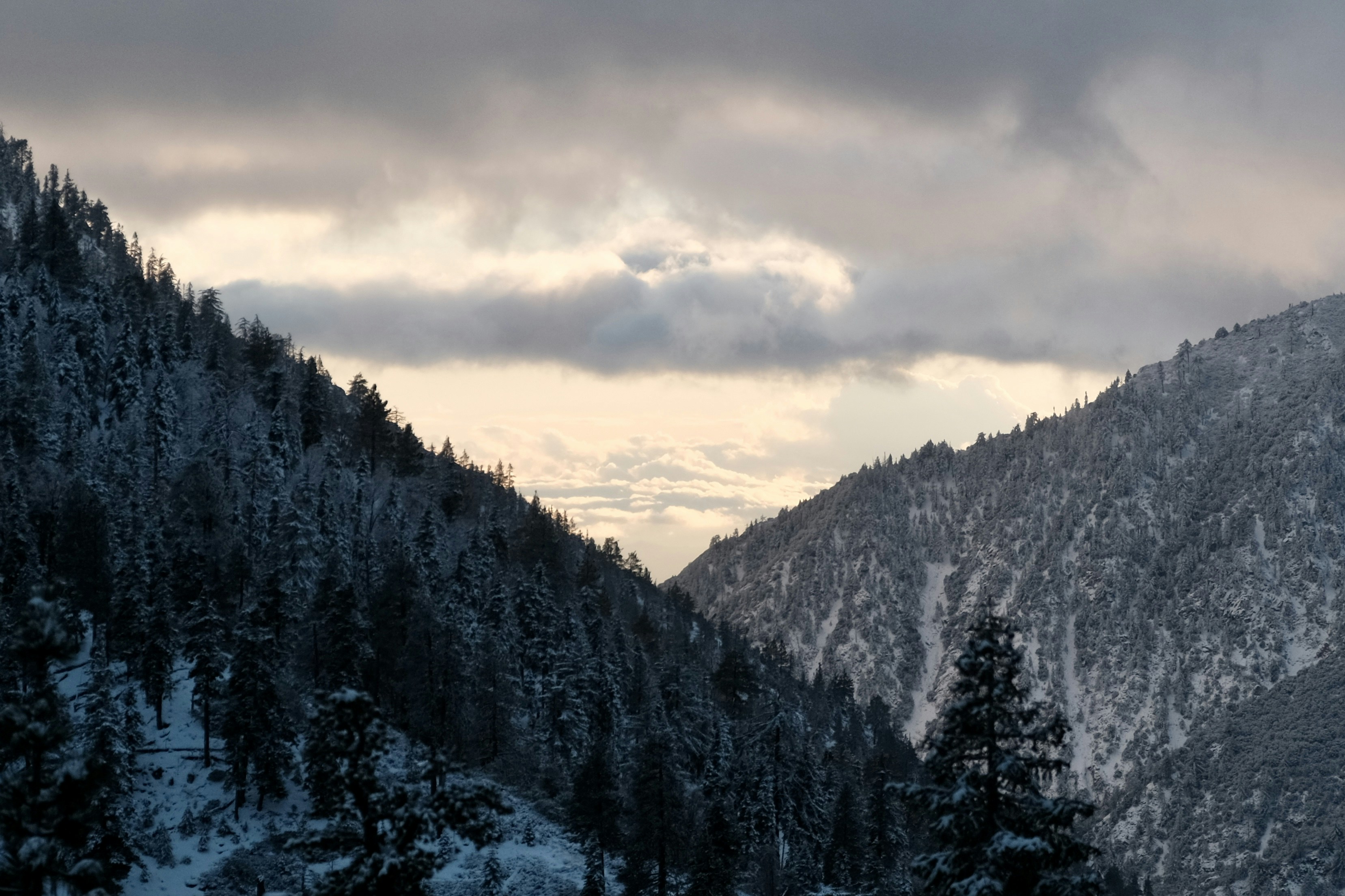 The Philosophy of Friendship That Modern Social Networks Destroyed