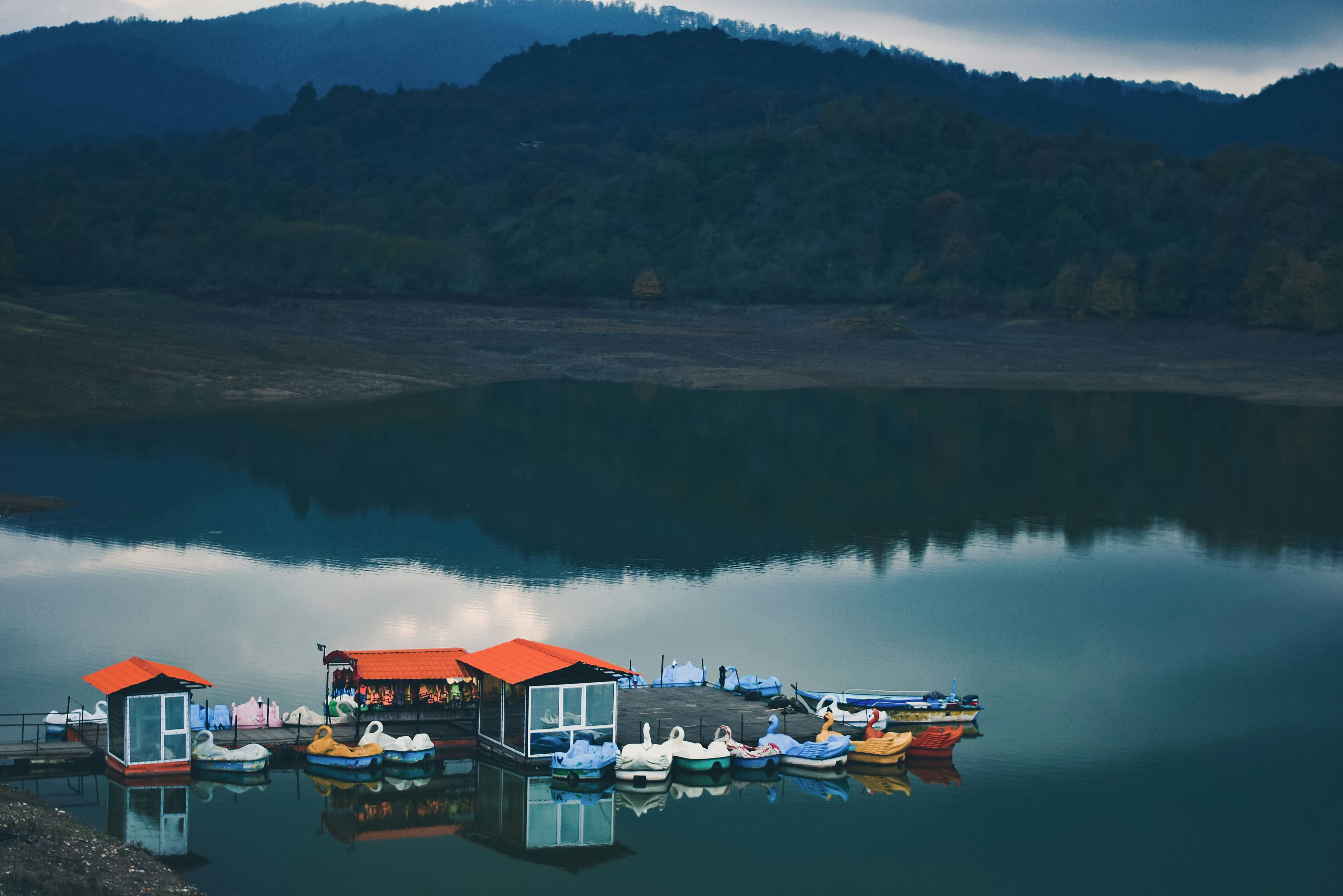 Photo by nasimkeshmiri