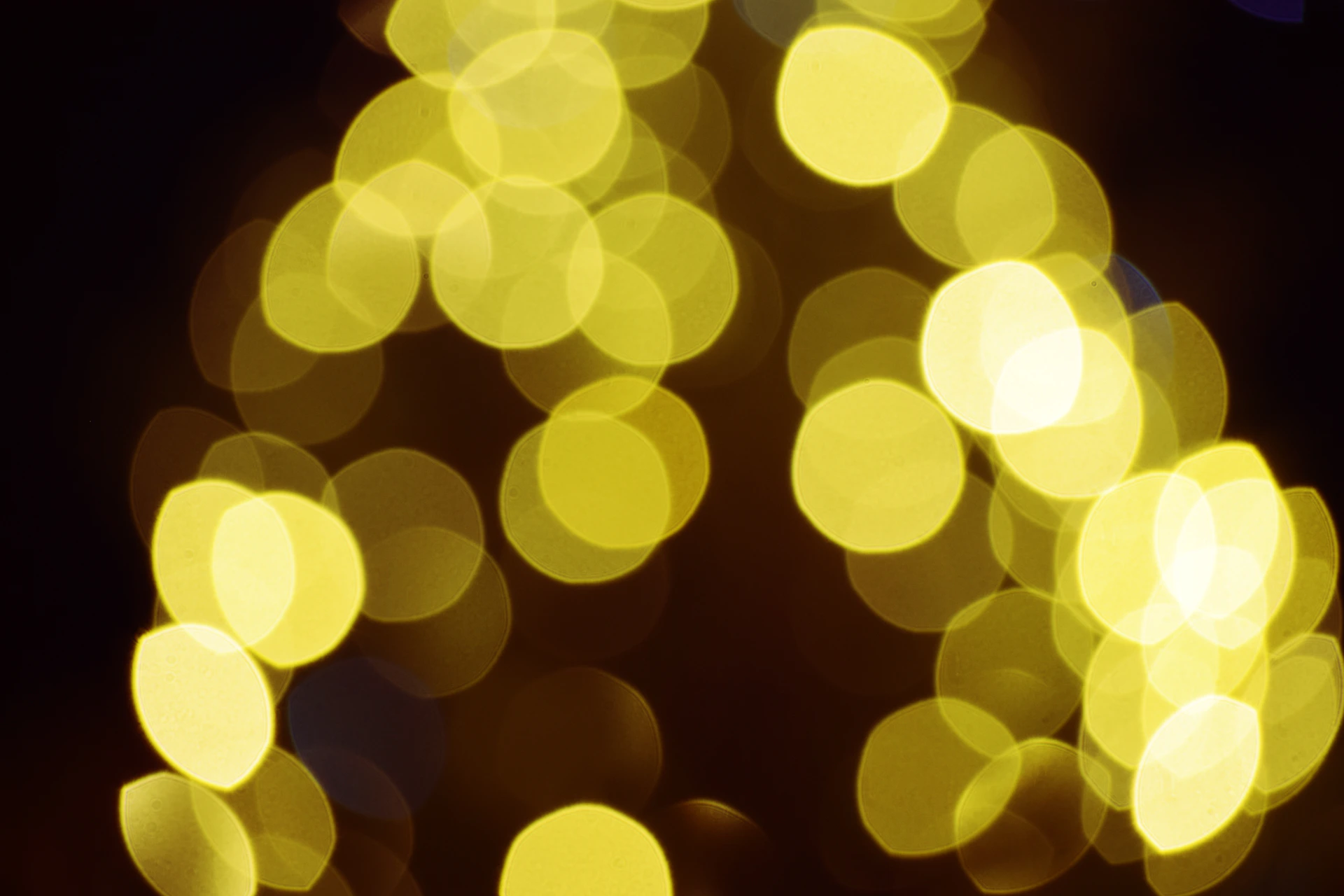 a blurry photo of a christmas tree with lights