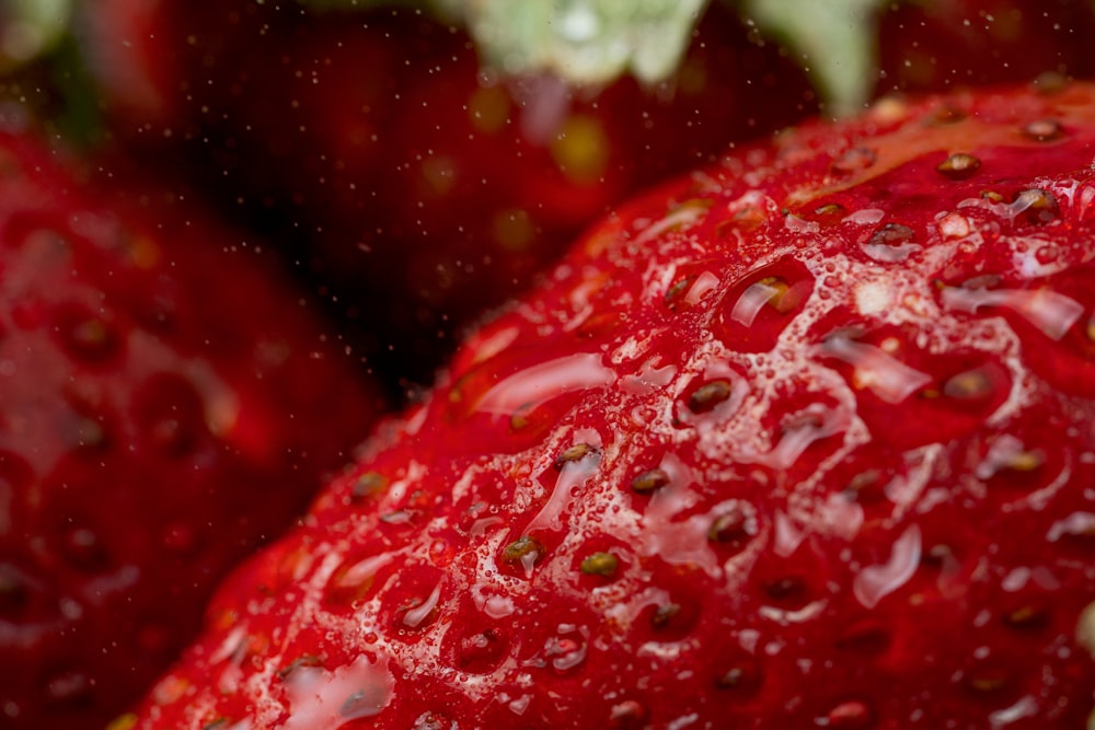 Gros plan d’un bouquet de fraises rouges