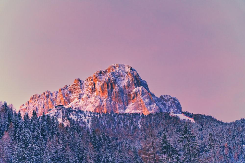 a snow covered mountain with trees in the foreground