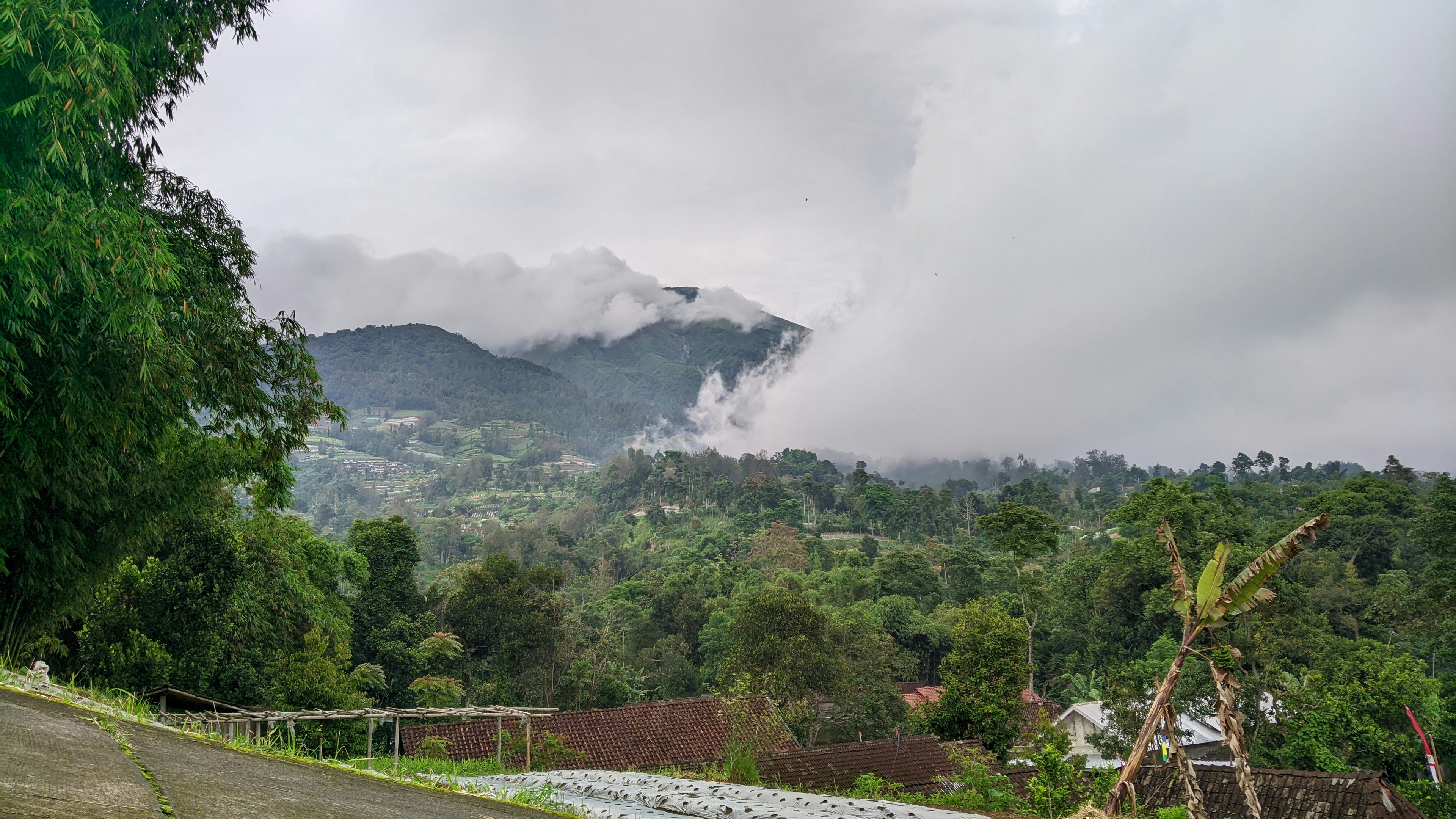 Pemandangan pegunungan dari jalan
