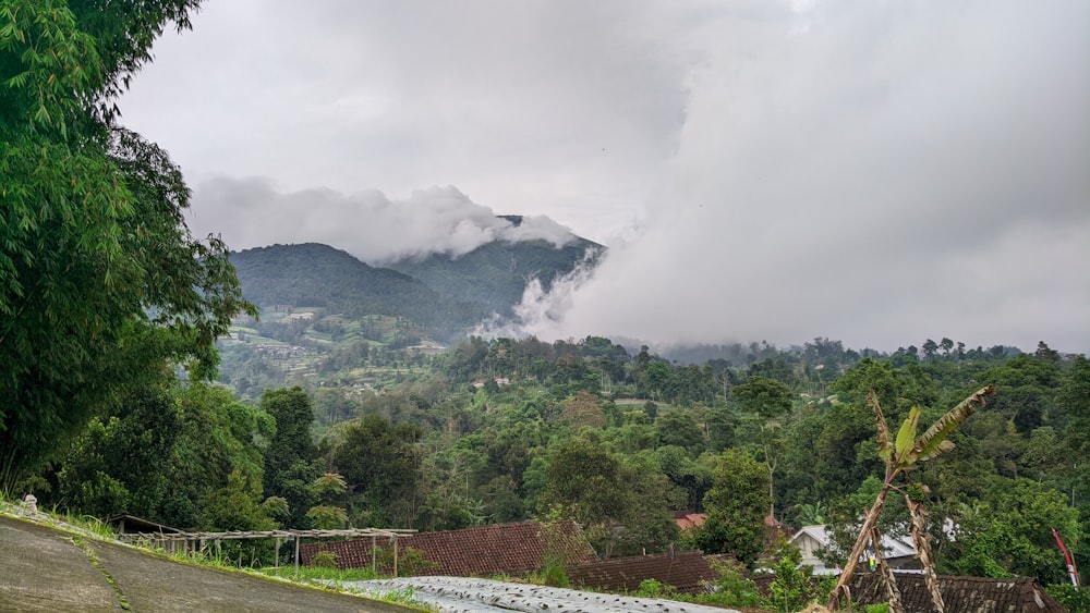 a view of a mountain range from a road