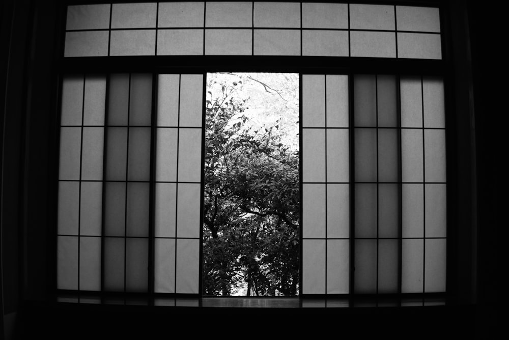 an open window with a tree in the background