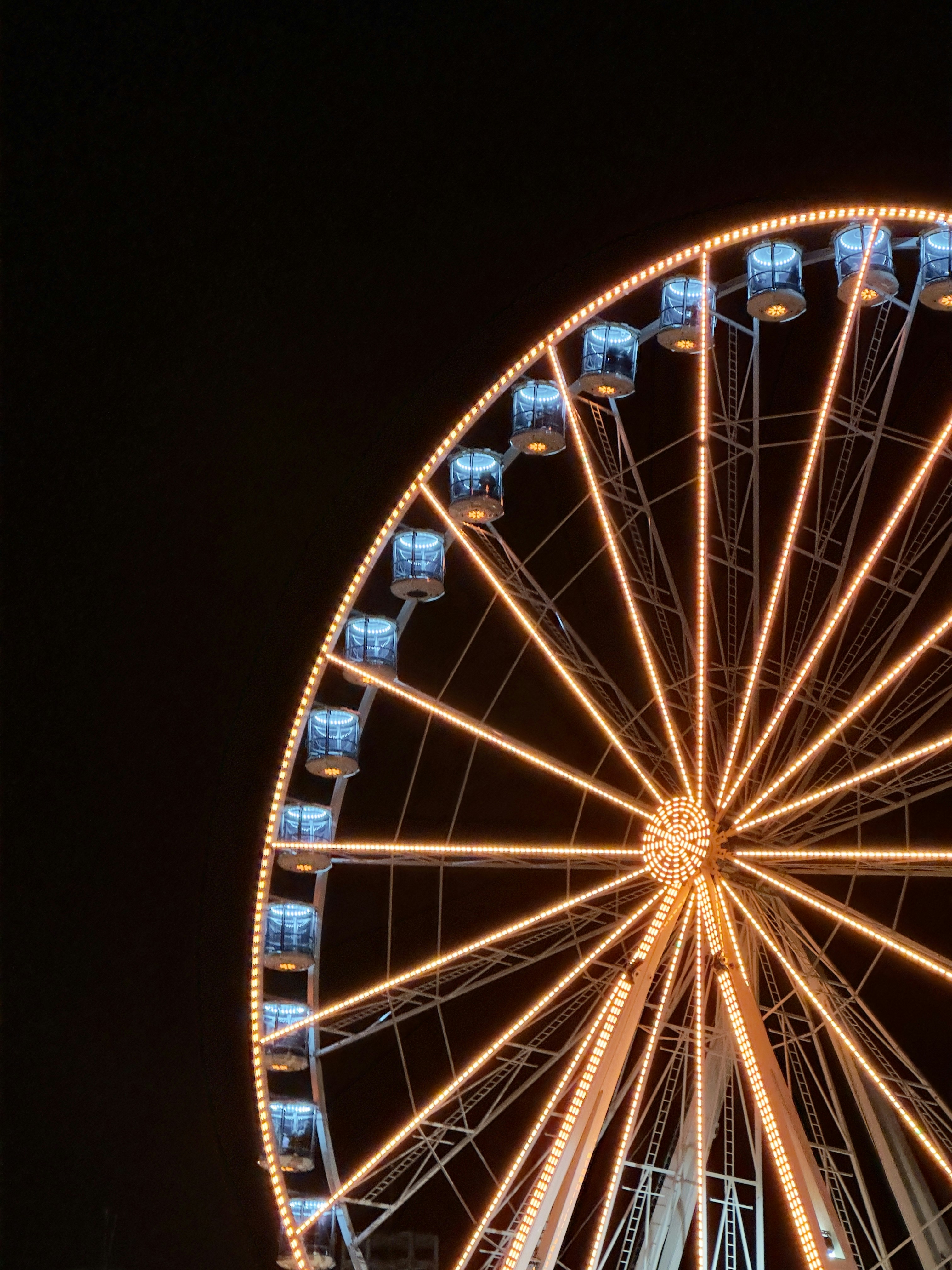 Photo by arroganthamsterlord