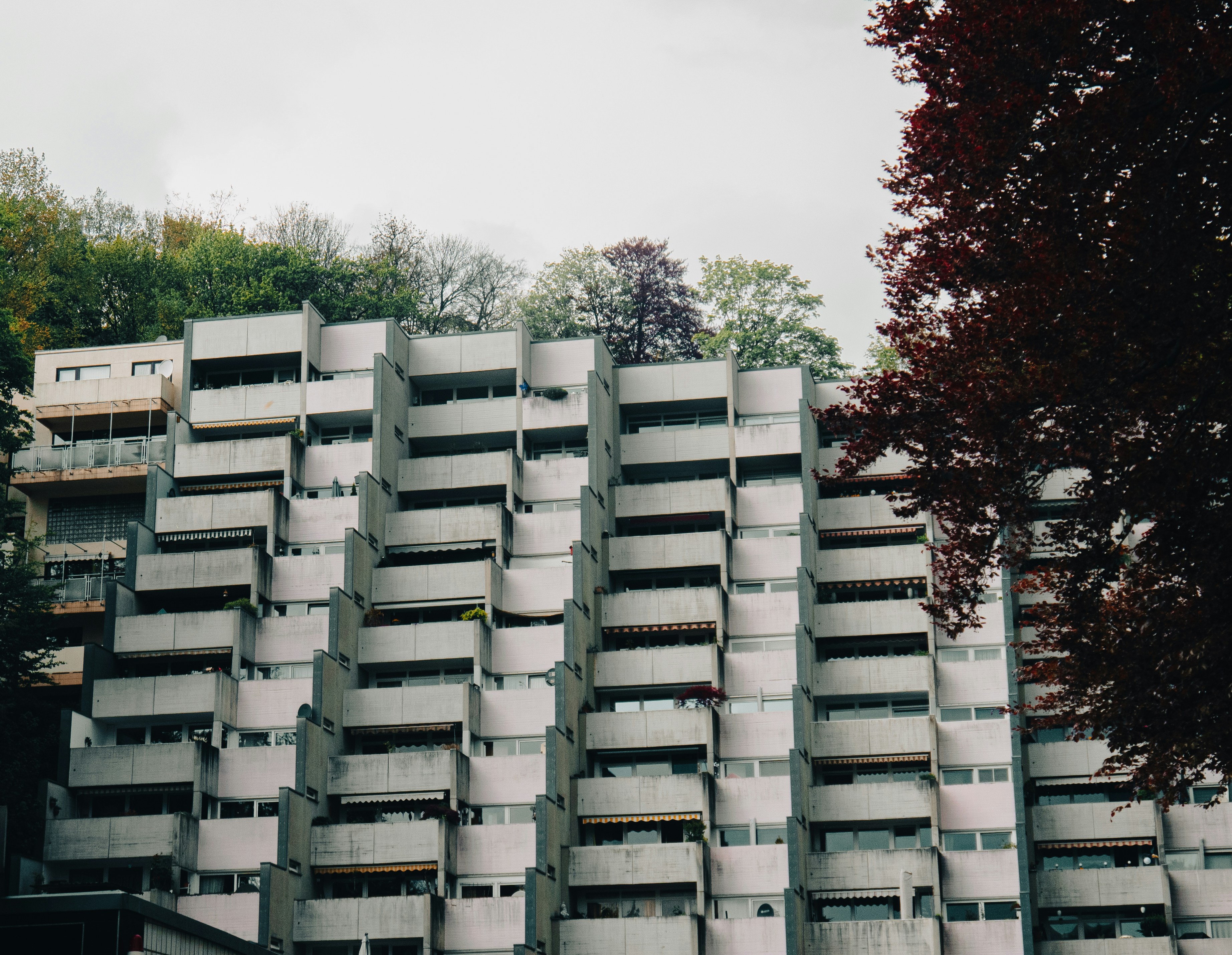 斯库尔普图伦公园