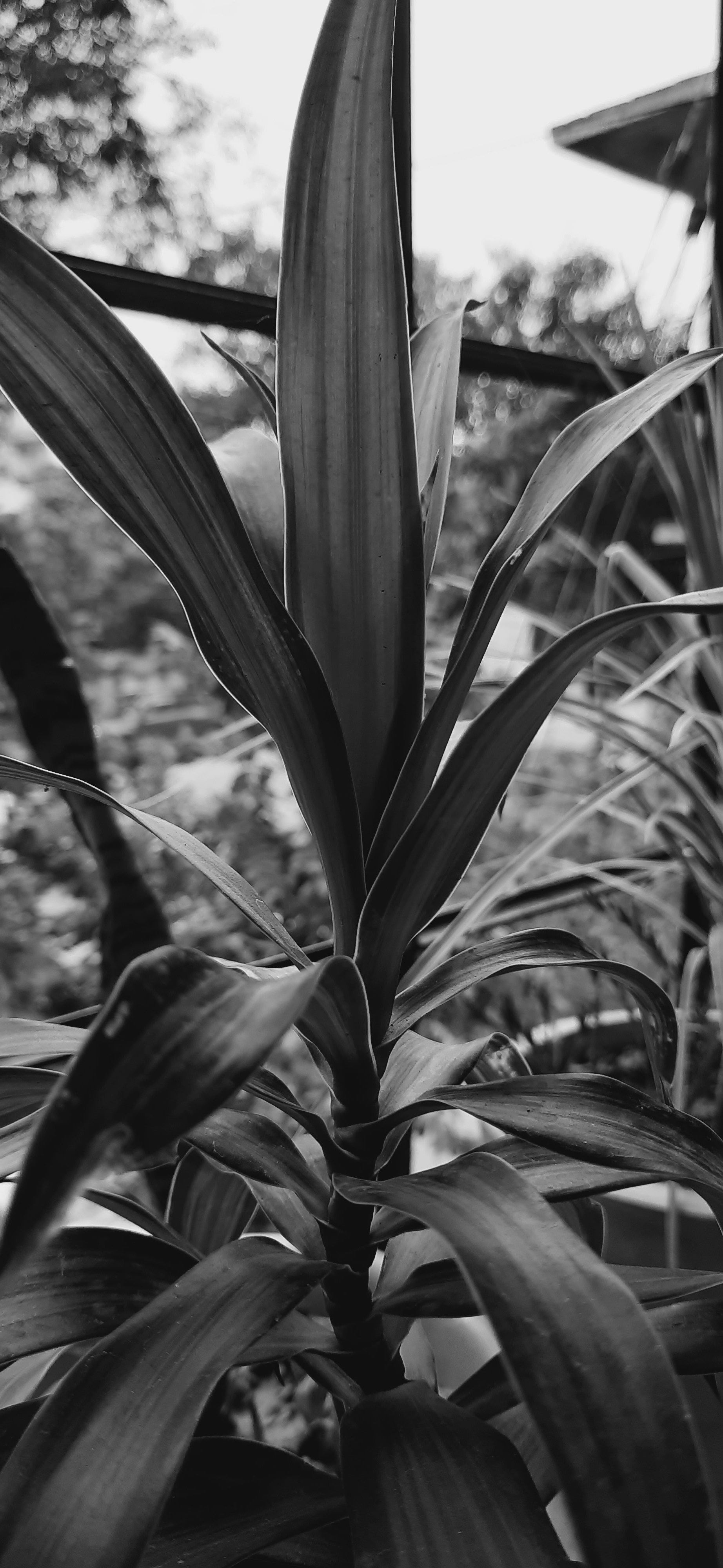 Photo by adhishthan_ashok