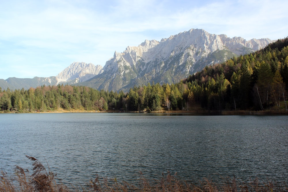 un grande specchio d'acqua circondato da una foresta