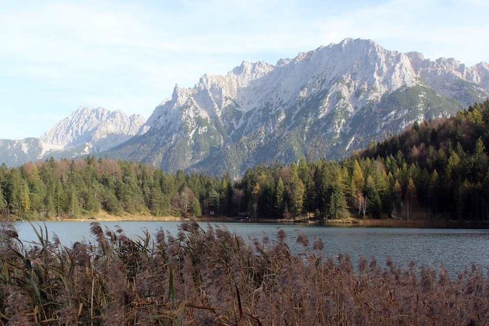 a lake surrounded by trees and mountains in the background