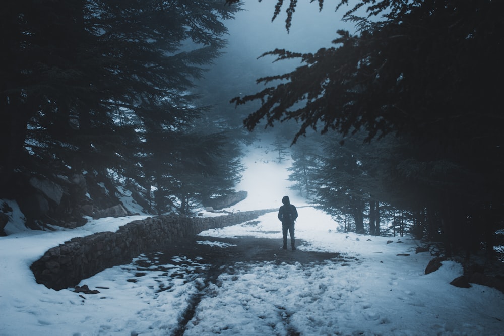 une personne debout sur un chemin dans la neige