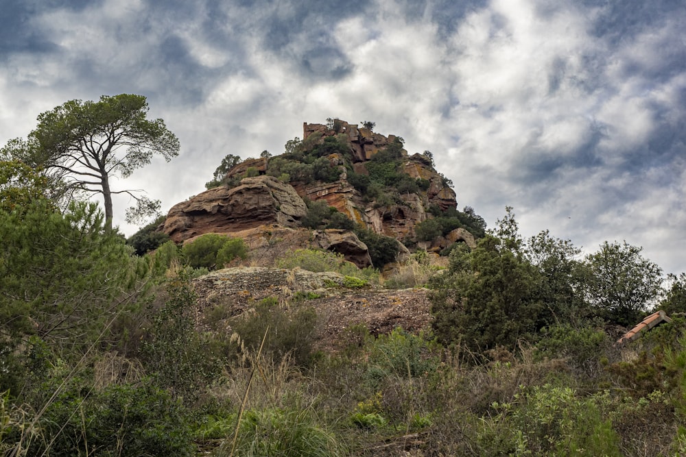 a large rock formation surrounded by trees on a cloudy day