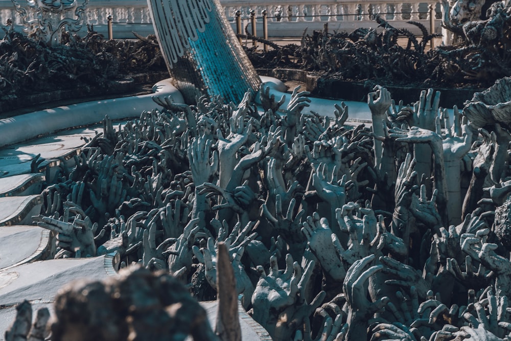 a large amount of seaweed on a beach