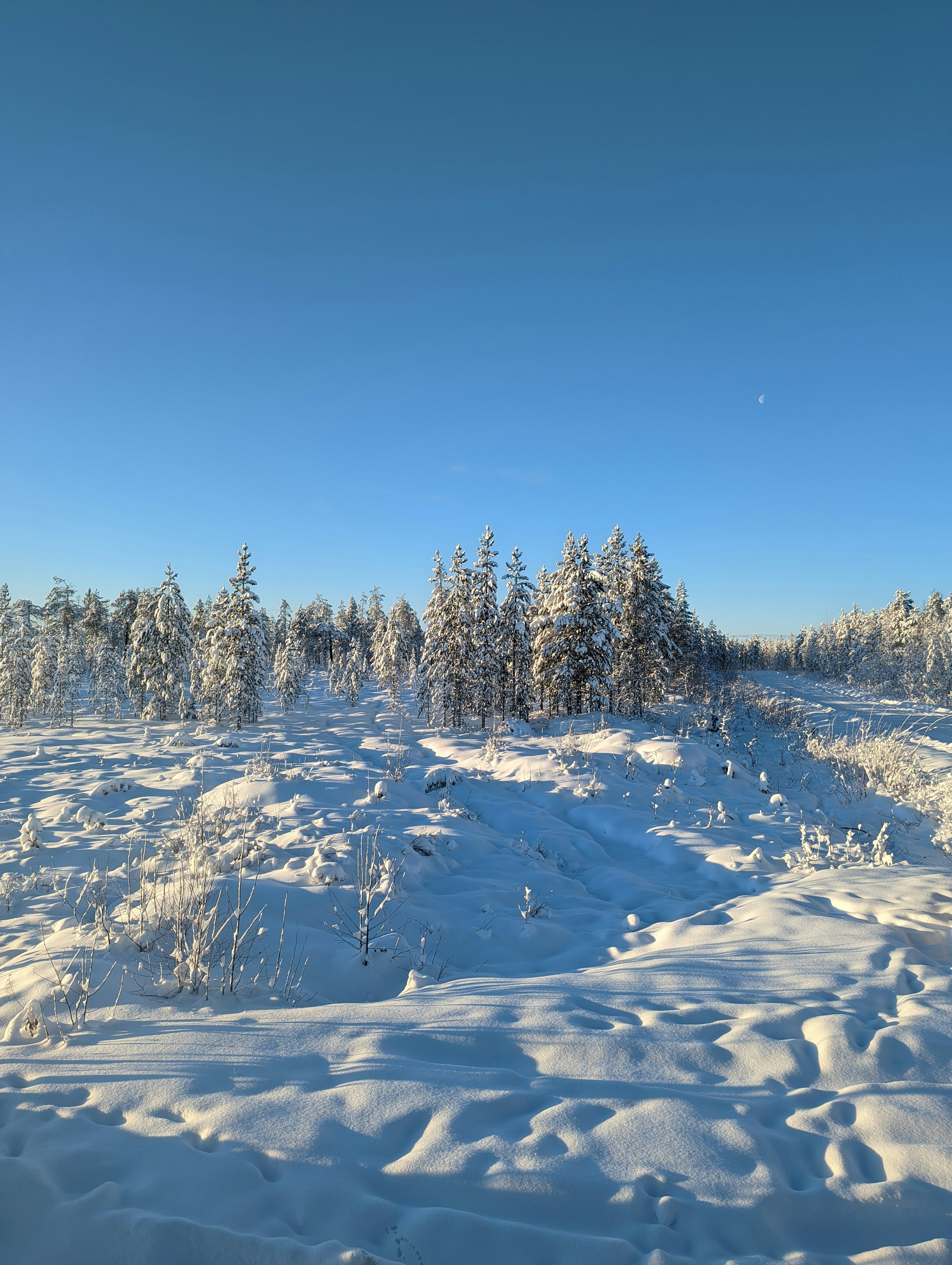 Photo by arif_zack_photography