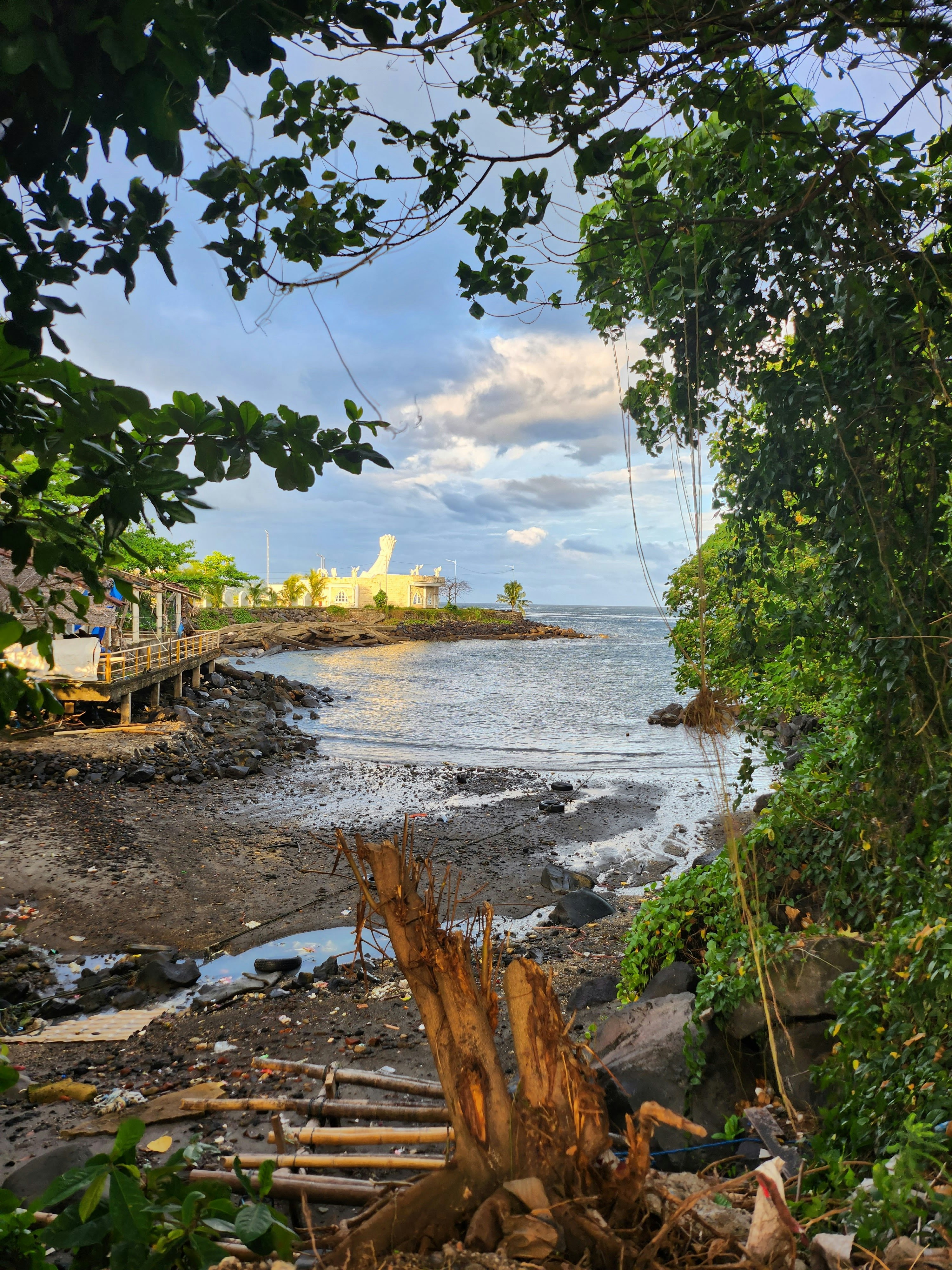 a large body of water surrounded by trees
