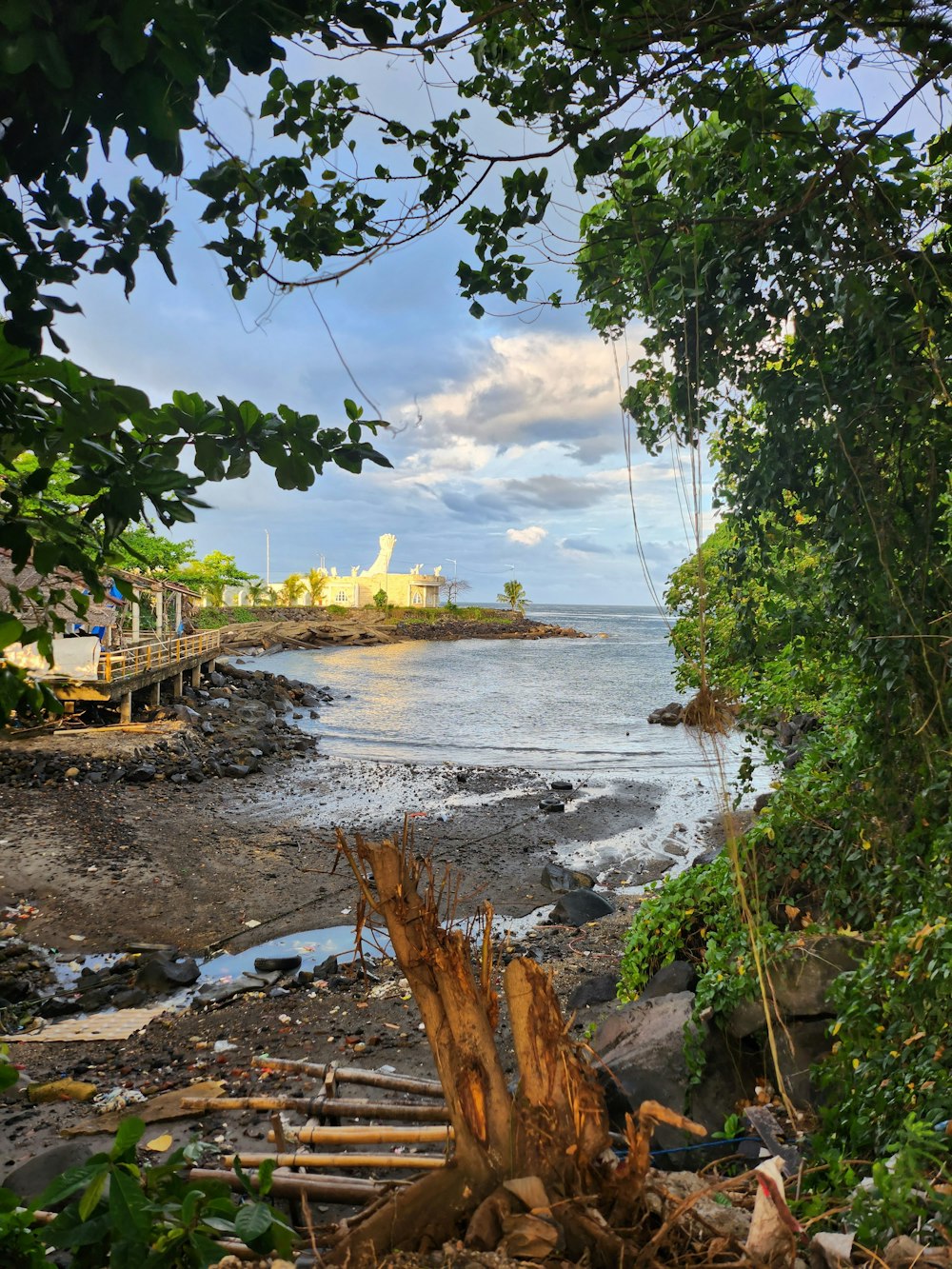 a large body of water surrounded by trees