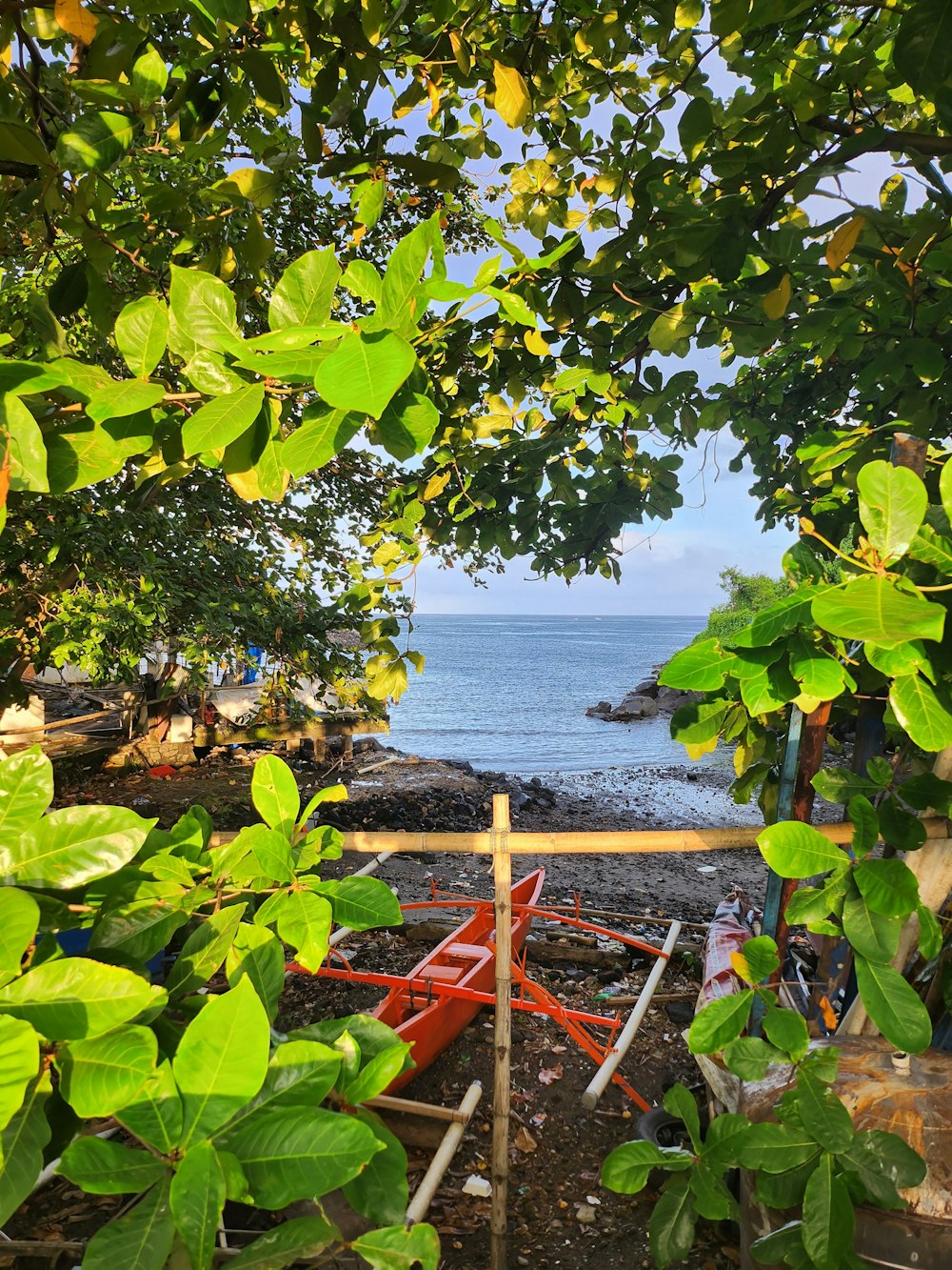 a view of a body of water through some trees