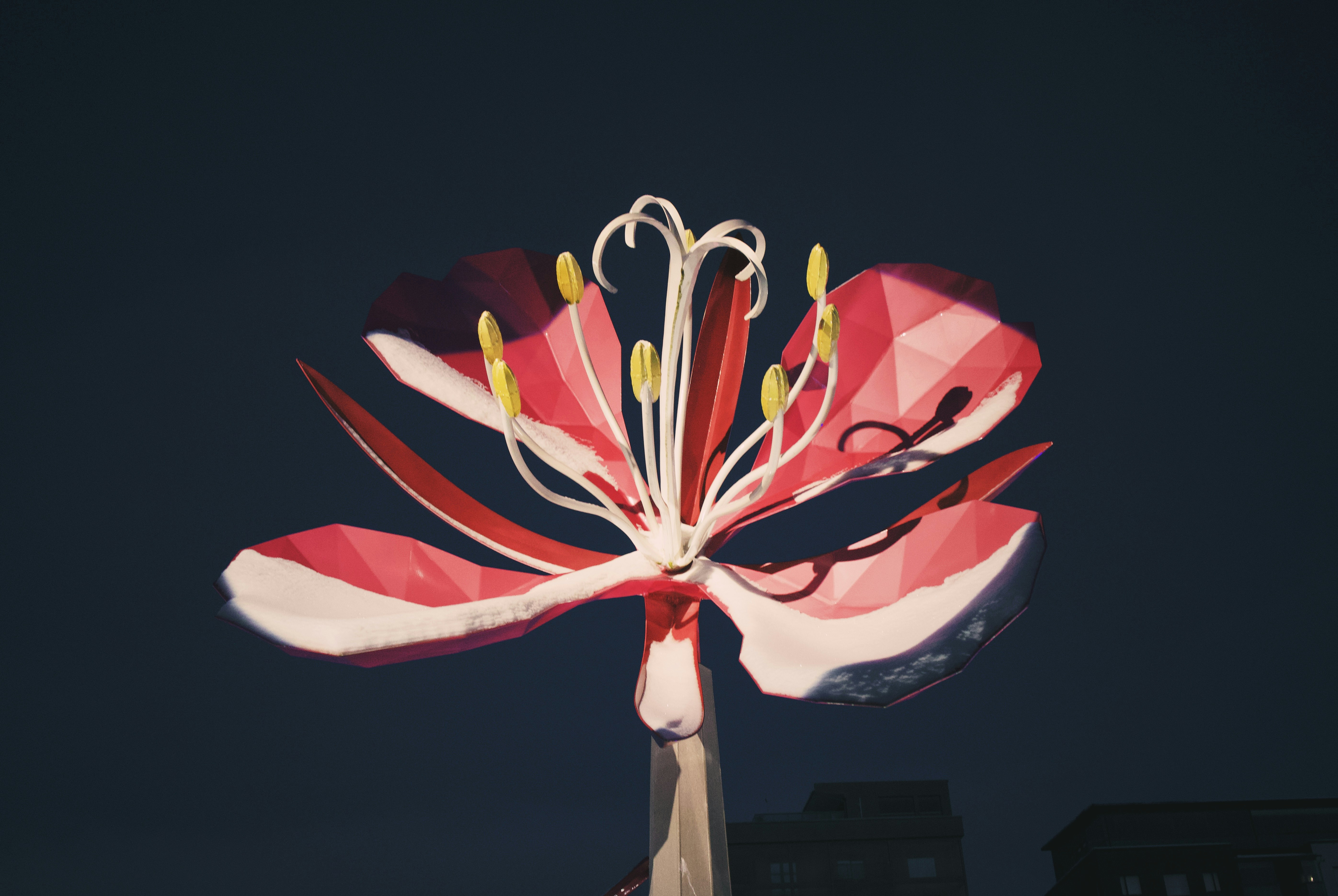 Créations florales numériques uniques