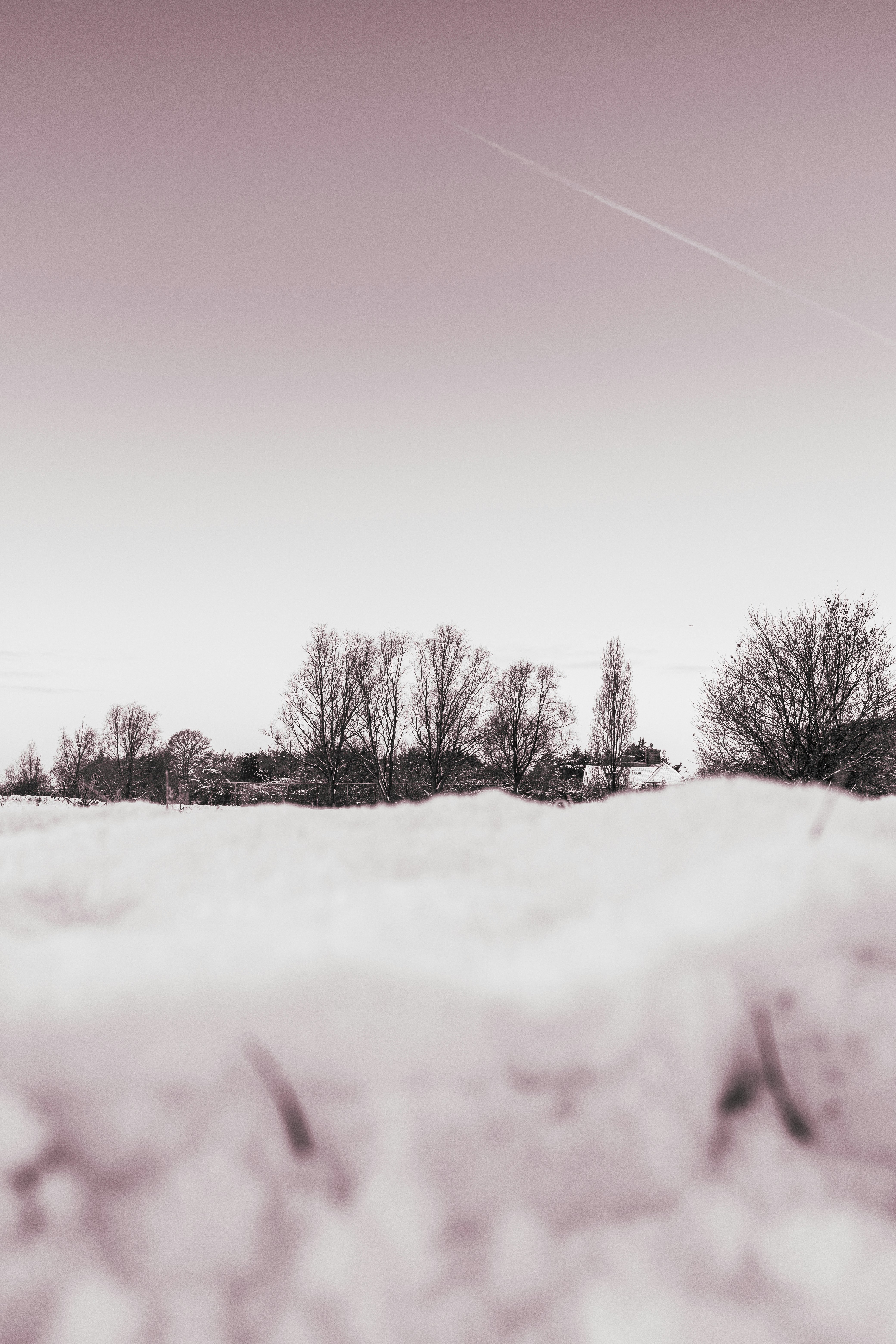 Photo by grievek1610begur