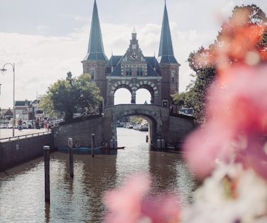 a bridge over a river with a bunch of flowers in front of it