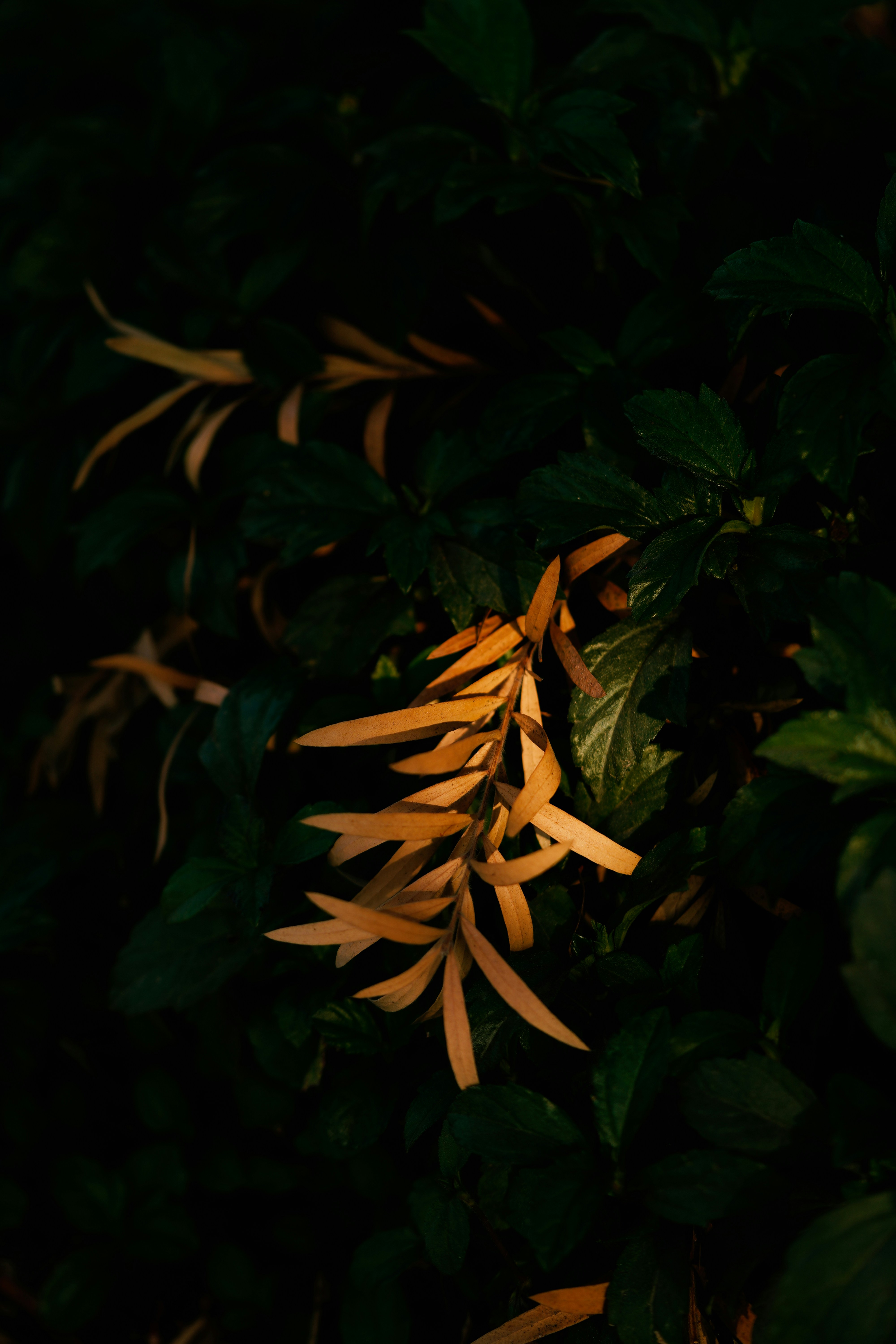 Photo by countingframez