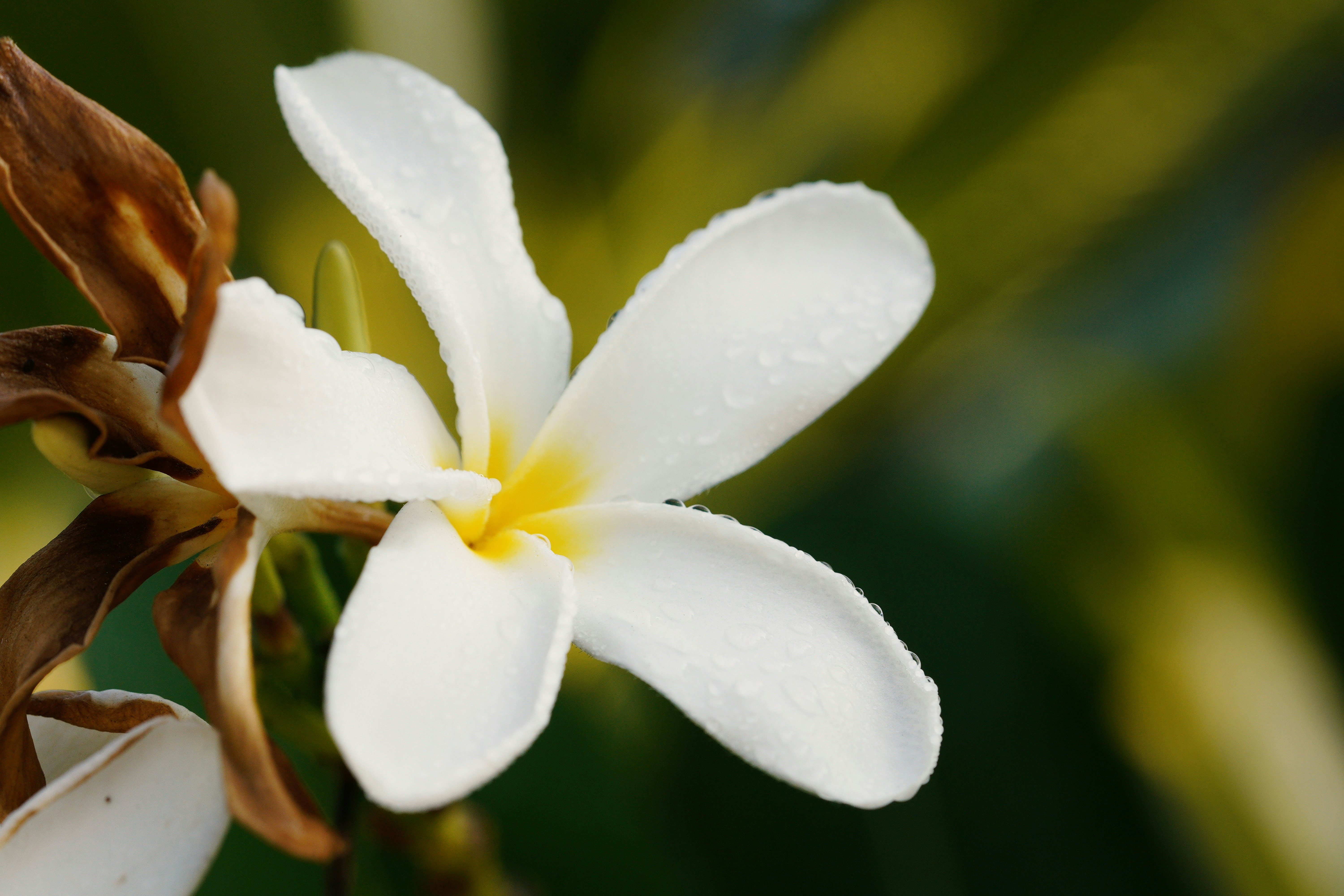 Photo by countingframez