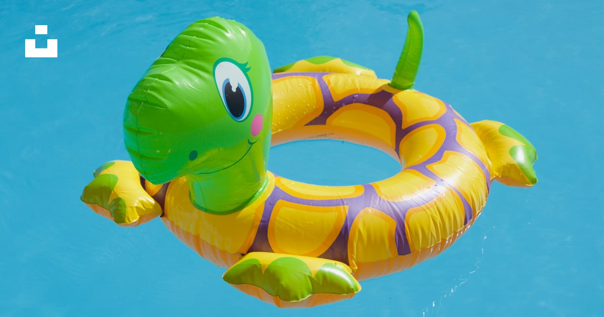 An inflatable turtle swimming in a pool photo – Free Denmark Image on ...