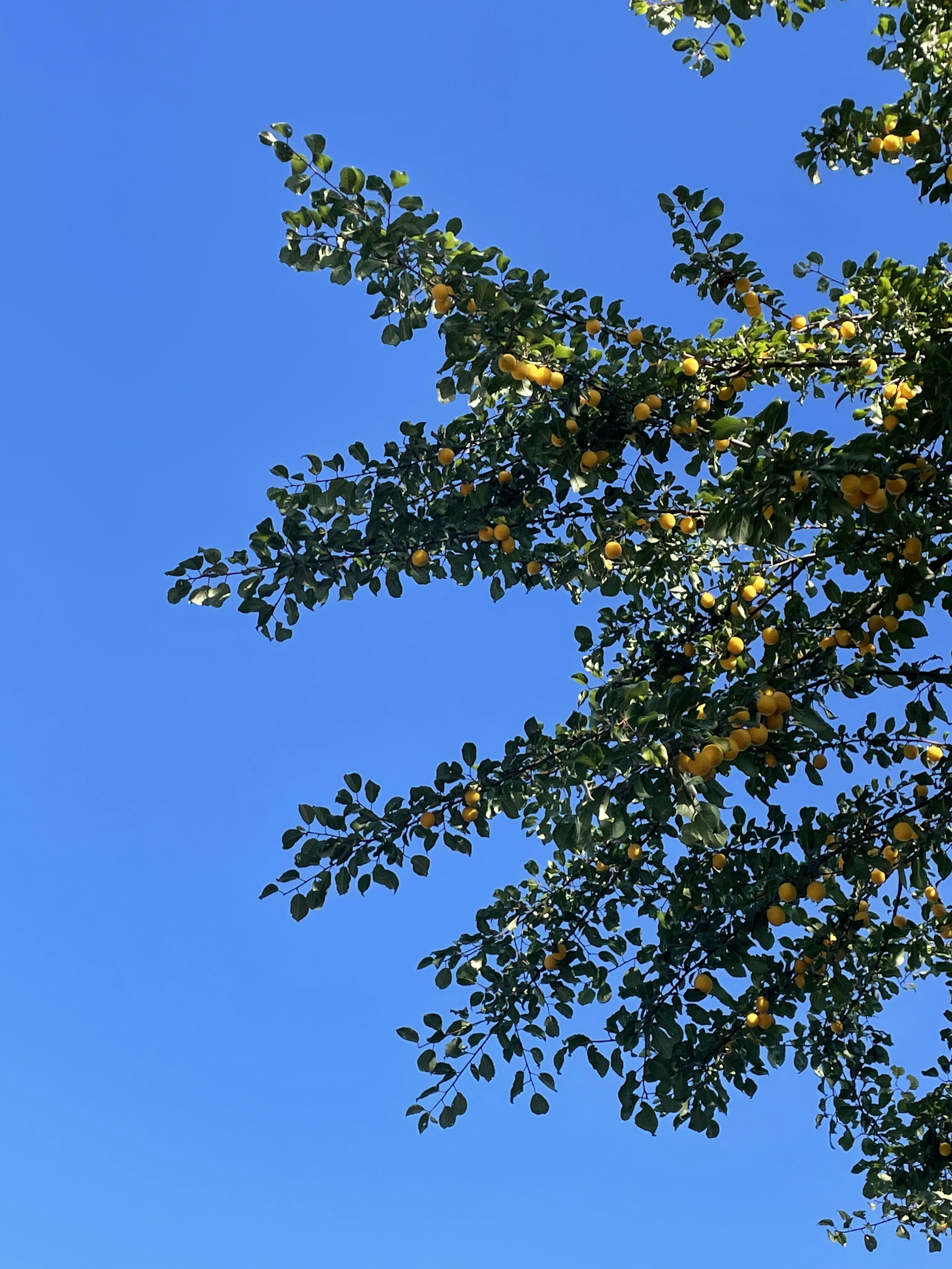 Photo by ekospokojnie