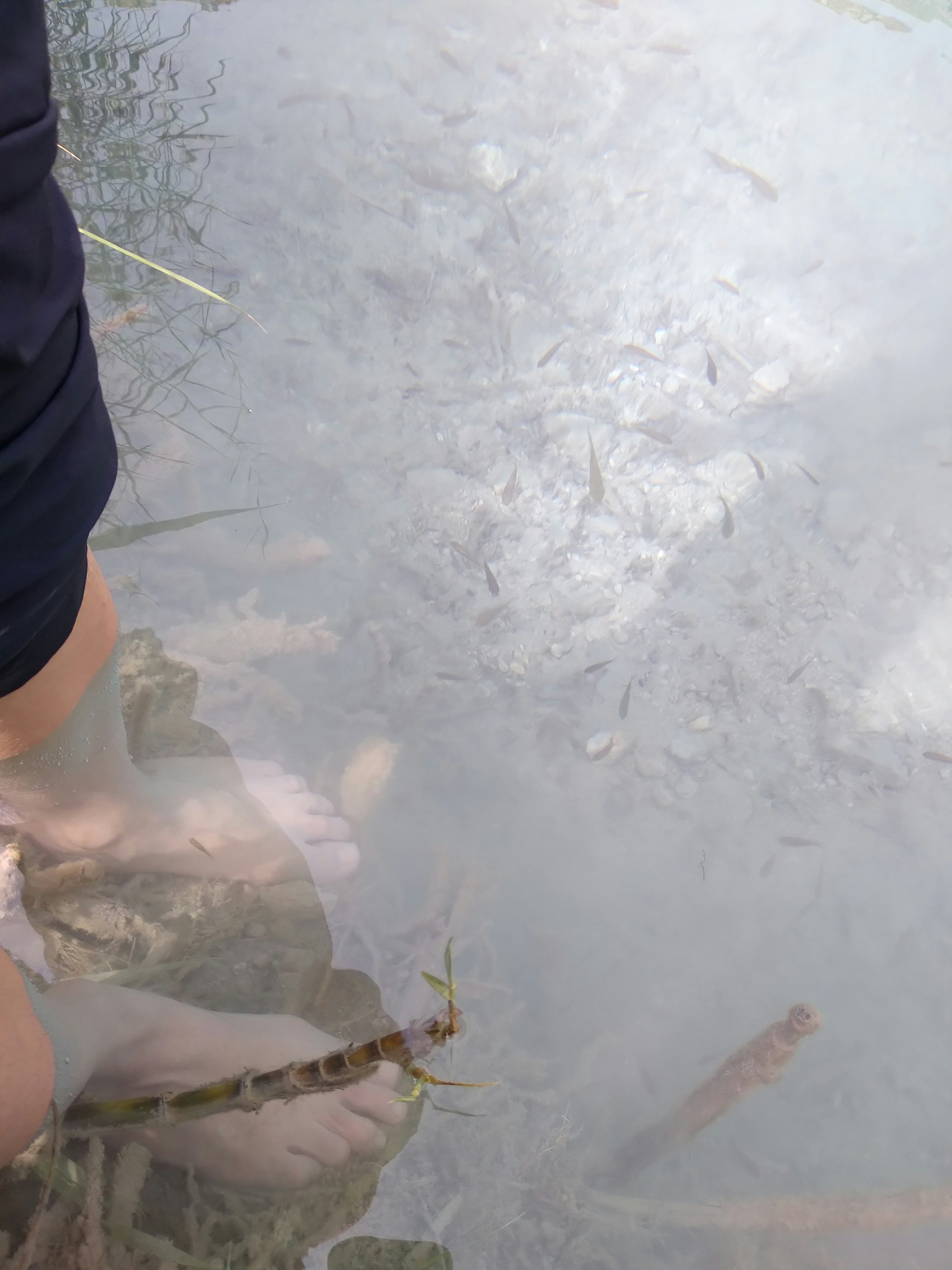 black and brown leather padded tub sofa