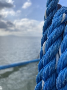 Sudadera Azul Marino