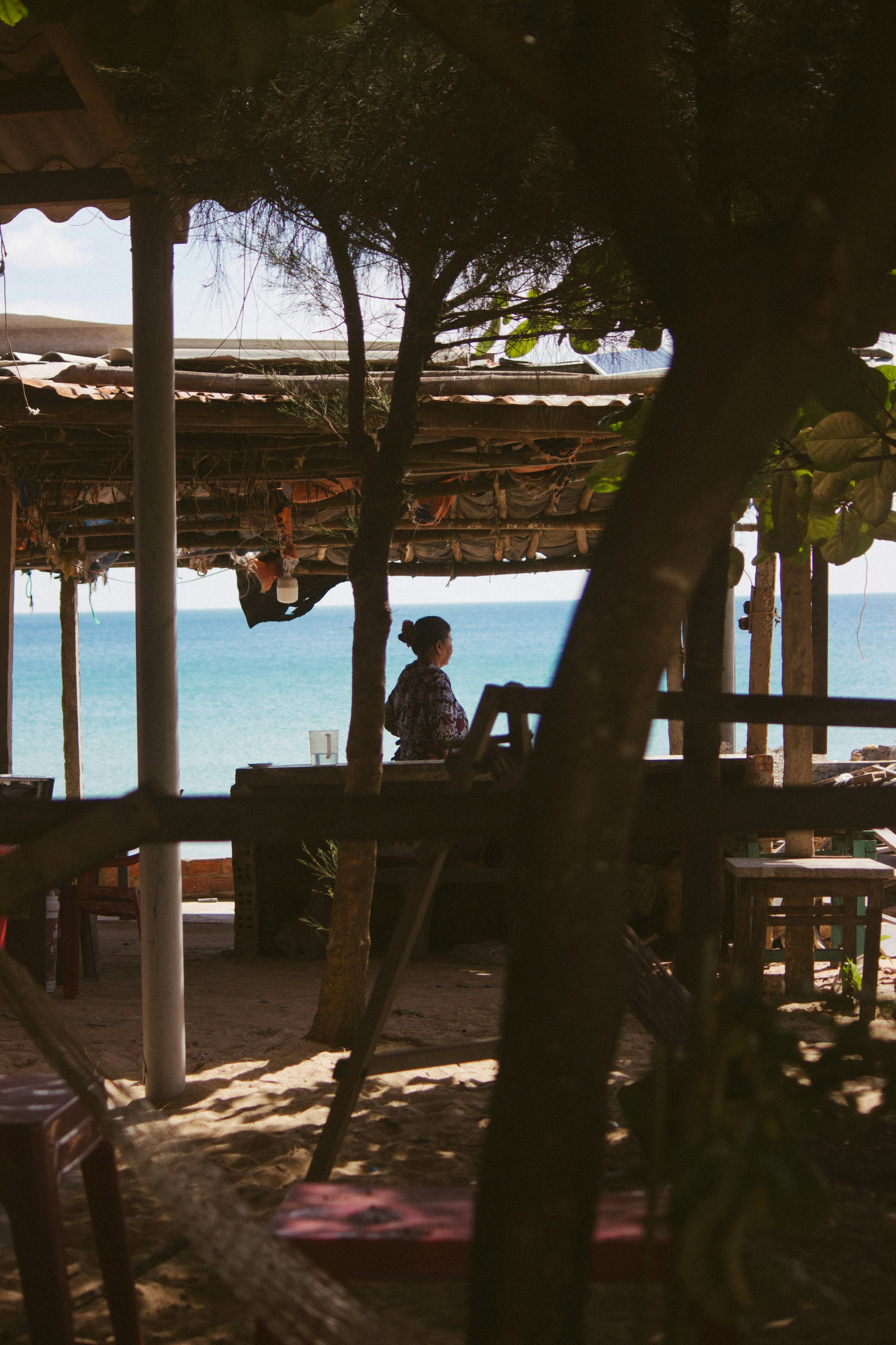 a man sitting on a bench under a tree next to the ocean