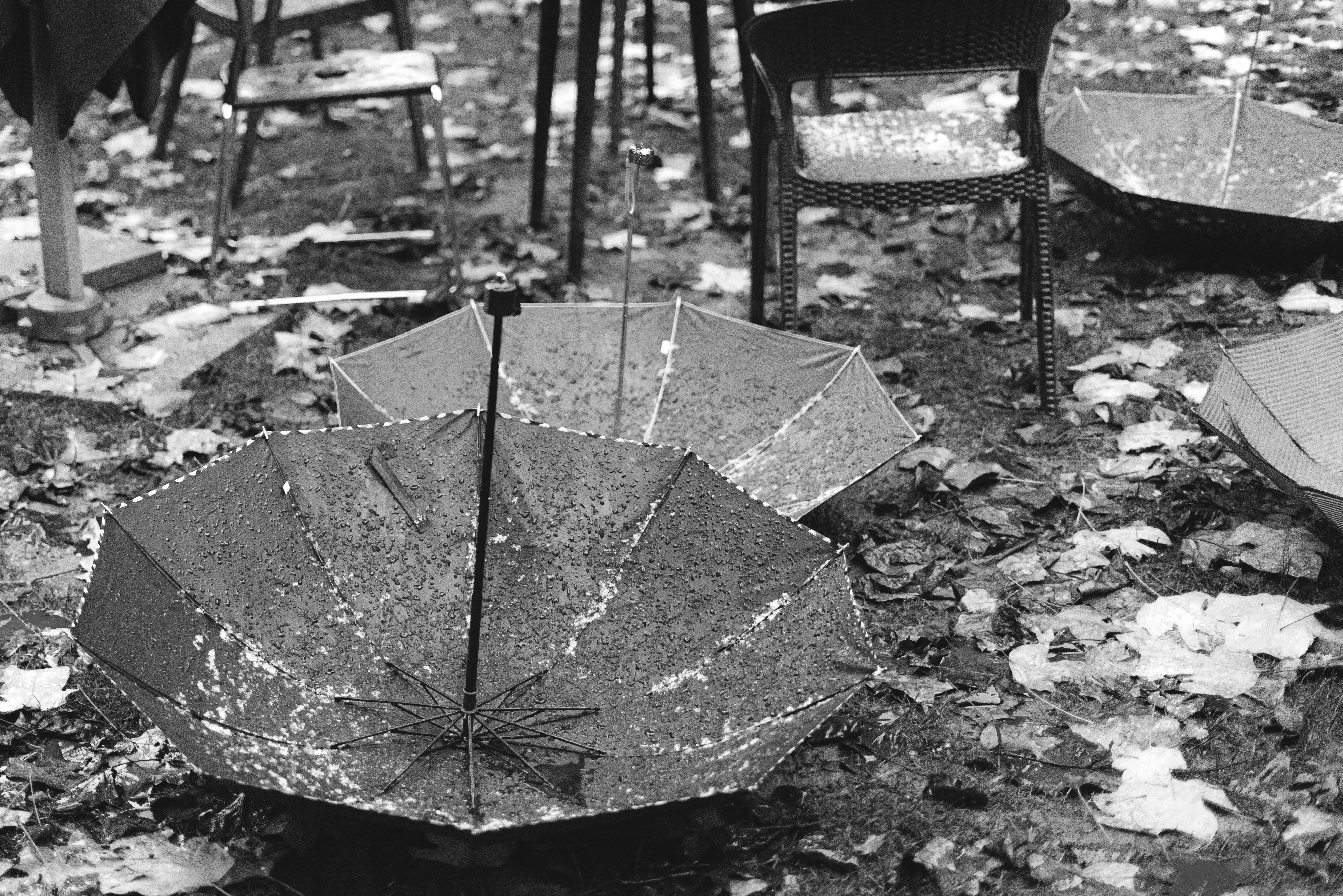 Bugün öğrendim ki: ABD ordusunun 1945'te...