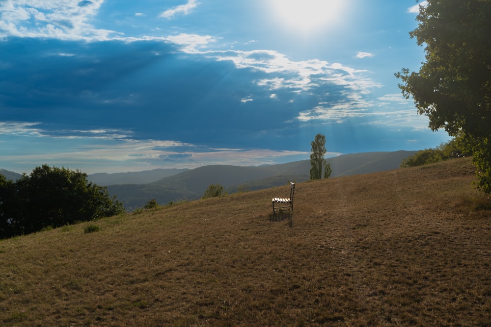 a bench sitting on top of a grass covered hillside