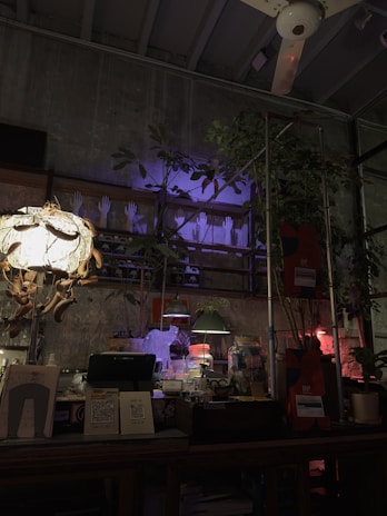A dimly lit interior space features whimsical décor, including mannequin hands displayed on shelves and a mix of small plants. Ambient lighting casts colorful shadows and highlights, creating a mysterious and artistic atmosphere. The eclectic assembly of objects on the table includes lamps, jars, and various papers.