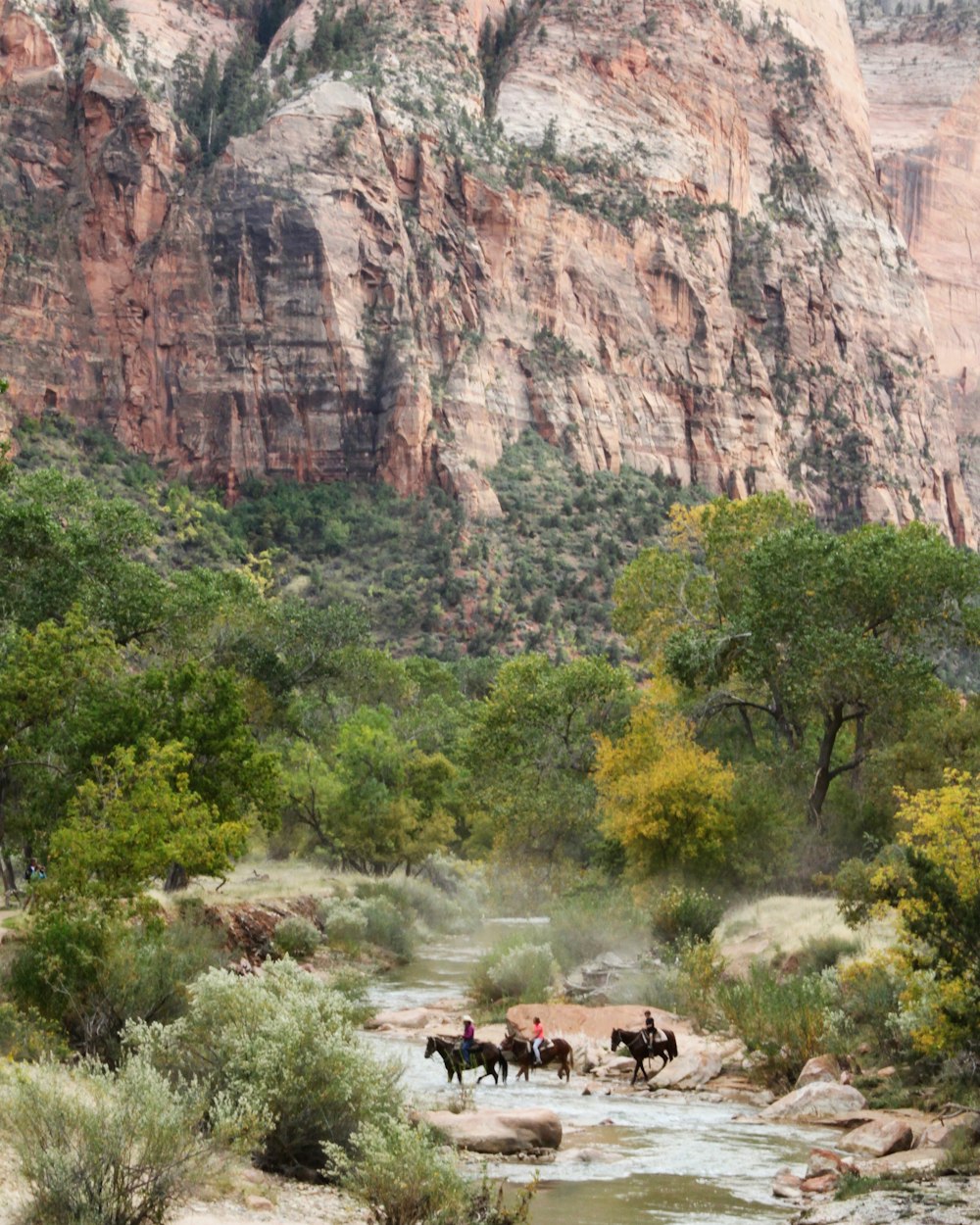 a herd of wild animals crossing a river