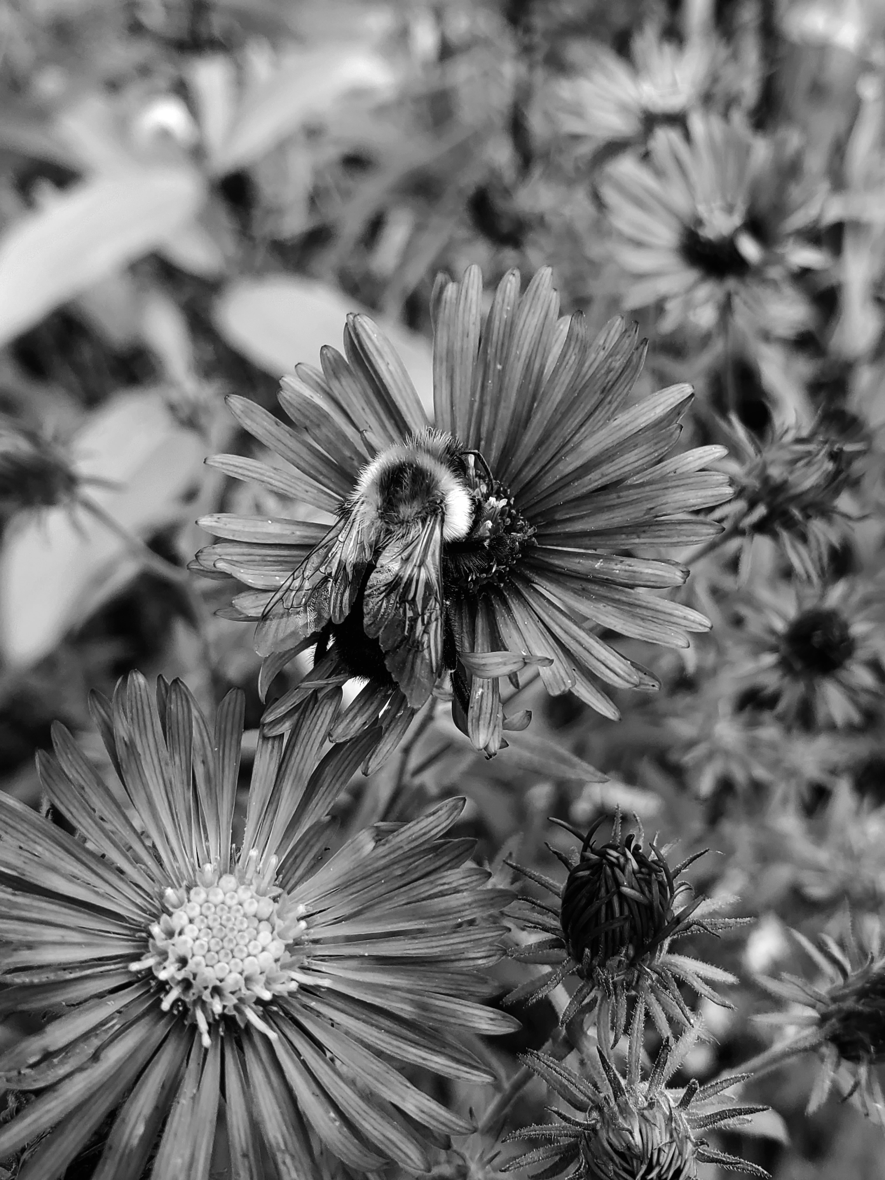 Photo by evelynbodnar