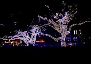 Holiday lights artfully wrapped around a large tree, brightening a residential street at dusk