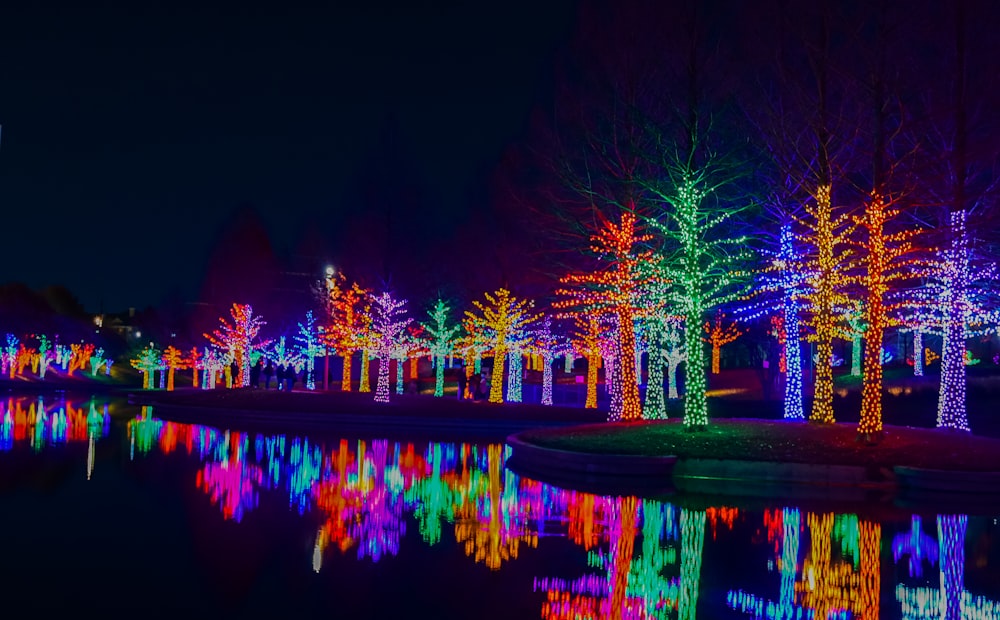 a colorful display of trees and lights reflecting in the water
