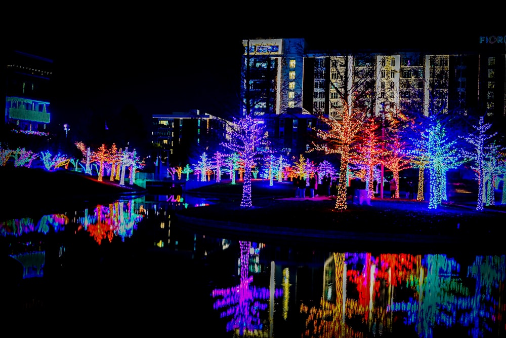 a city park with trees lit up at night