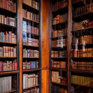 Tall wooden bookshelves filled with numerous books, organized neatly in a dimly lit room. The shelves are enclosed in glass, giving a classic and vintage feel. Some books have leather spines with gold lettering, suggesting they are older or possibly rare editions.