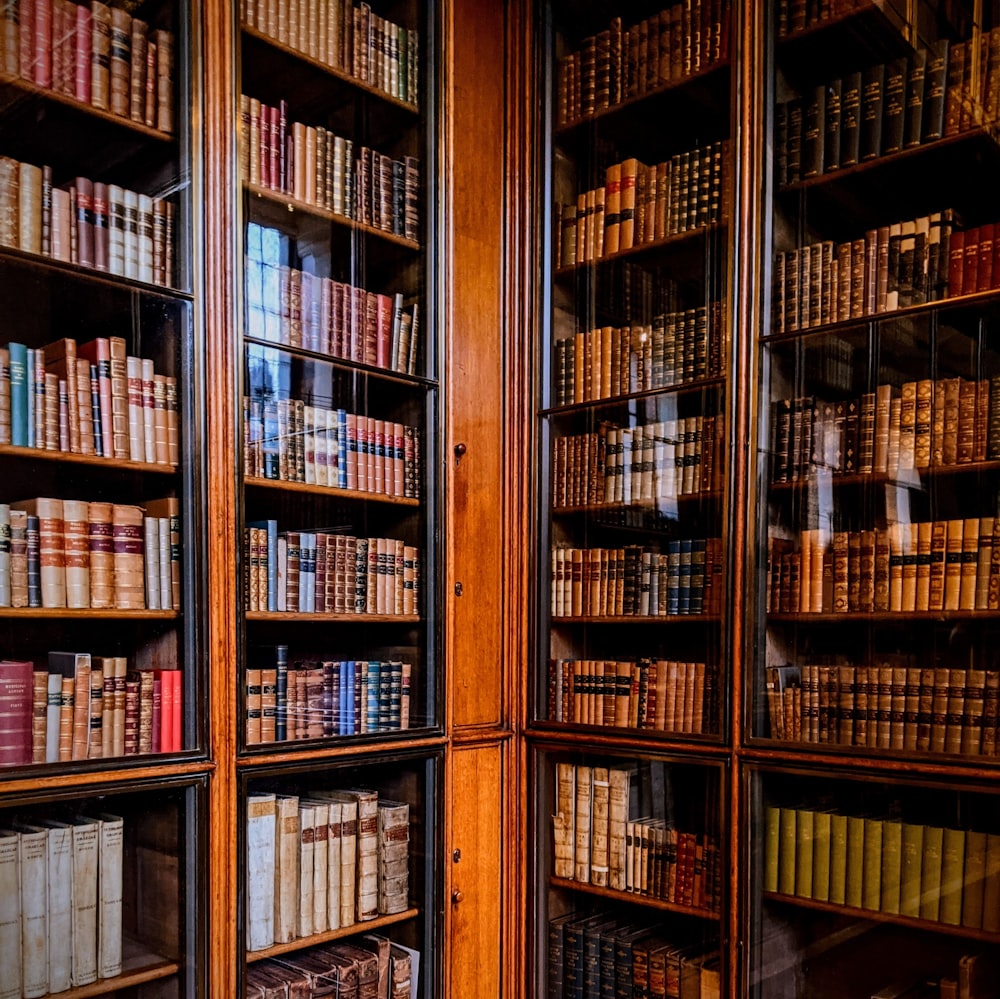 uma estante de madeira cheia de muitos livros