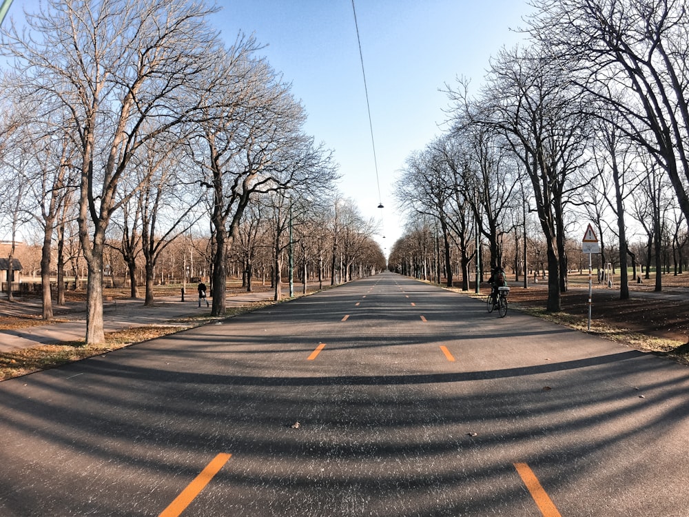 a street lined with trees with no leaves