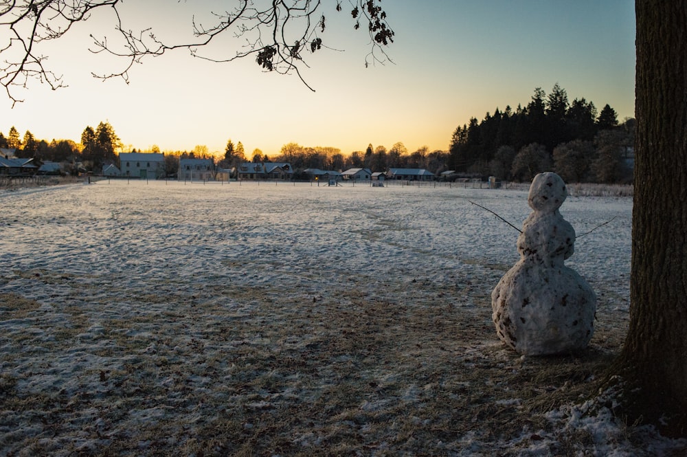a frosty field with a tree and a snowman