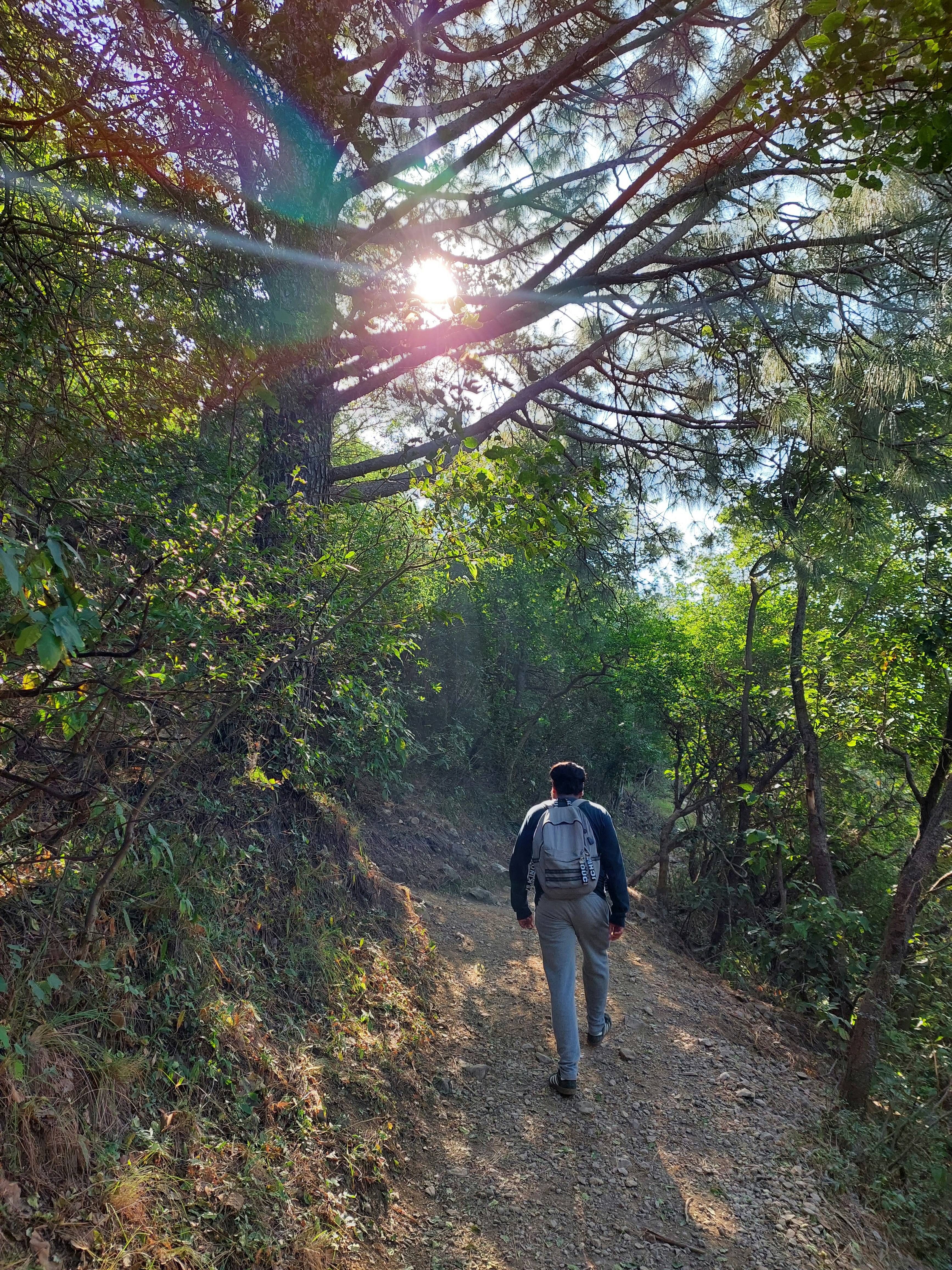 Senderismo y salud: cómo caminar en la naturaleza fortalece tu cuerpo y mente