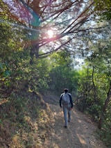 A woman hiking through a lush green forest trail, sunlight filtering through the leaves.