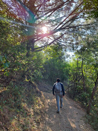 A person walking briskly on a sunlit trail surrounded by green trees.