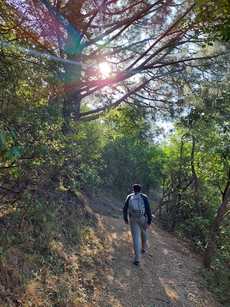 A traveler hiking through a lush green mountain trail at sunrise.